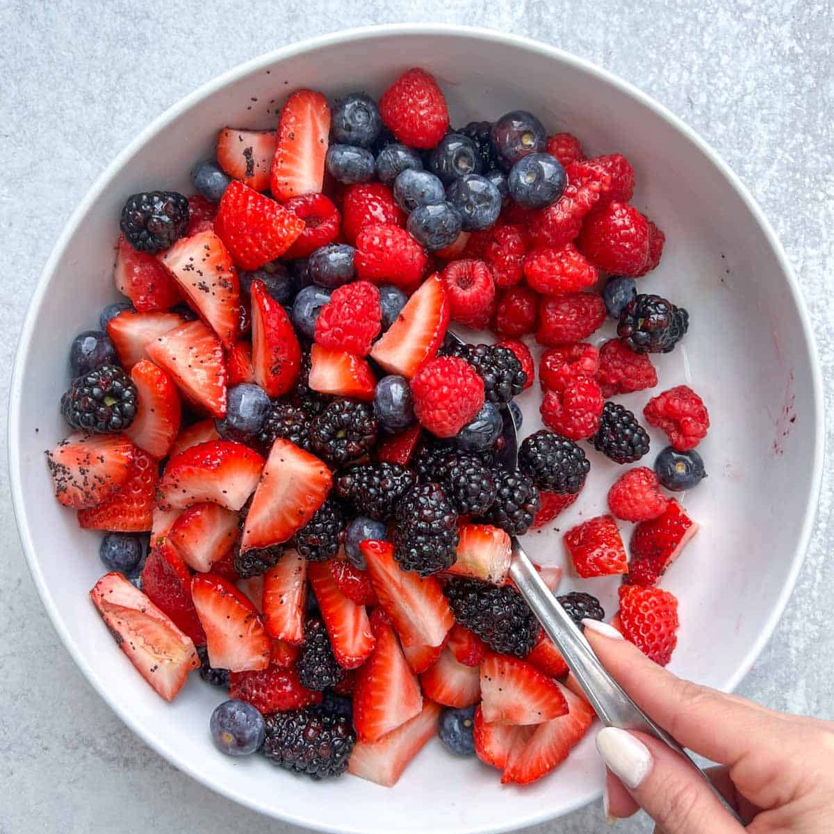 mix wild berry fruit tart and sweet berries for home gardens exotic edible jam jelly Fruit seeds