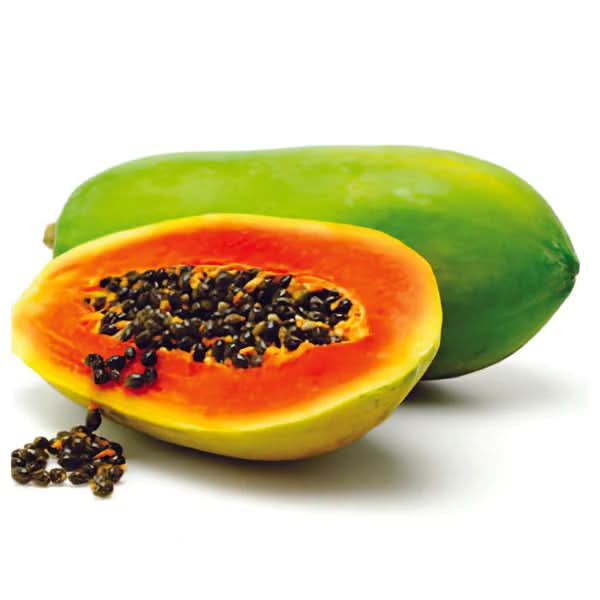 red lady papaya fruit for planting growing exotic tropical papayas non gmo Fruit seeds