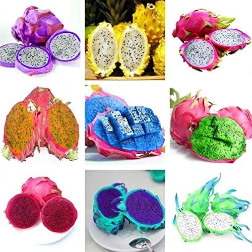 Fresh Pitaya Easy To Grow Fruit Seeds
