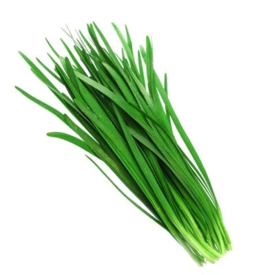 Chinese Chives