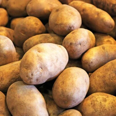 Pcsg Russet Potatoes Usda Certified