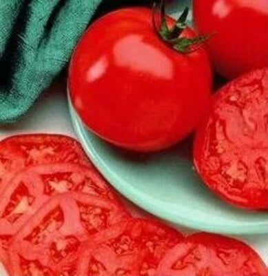 Tomato Manalucie Lycopersicon Esculentum Heat Tolerant Garden Plant