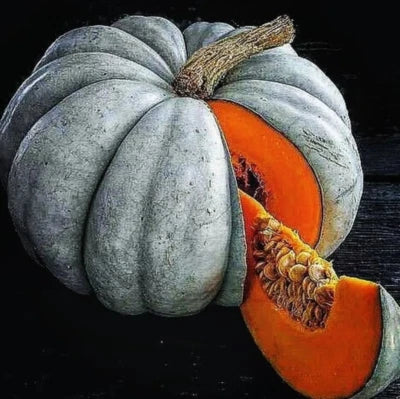 Blue Jarrahdale Pumpkin