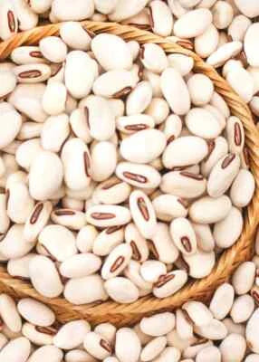 Jack Bean Wondersword Canavalia Ensimis Organic Stock
