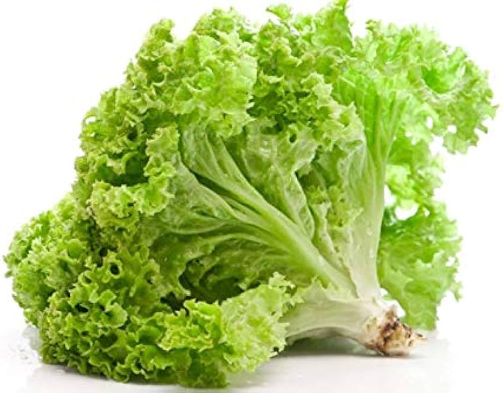 salad vegetable mixed leafy greens nutritious seeds