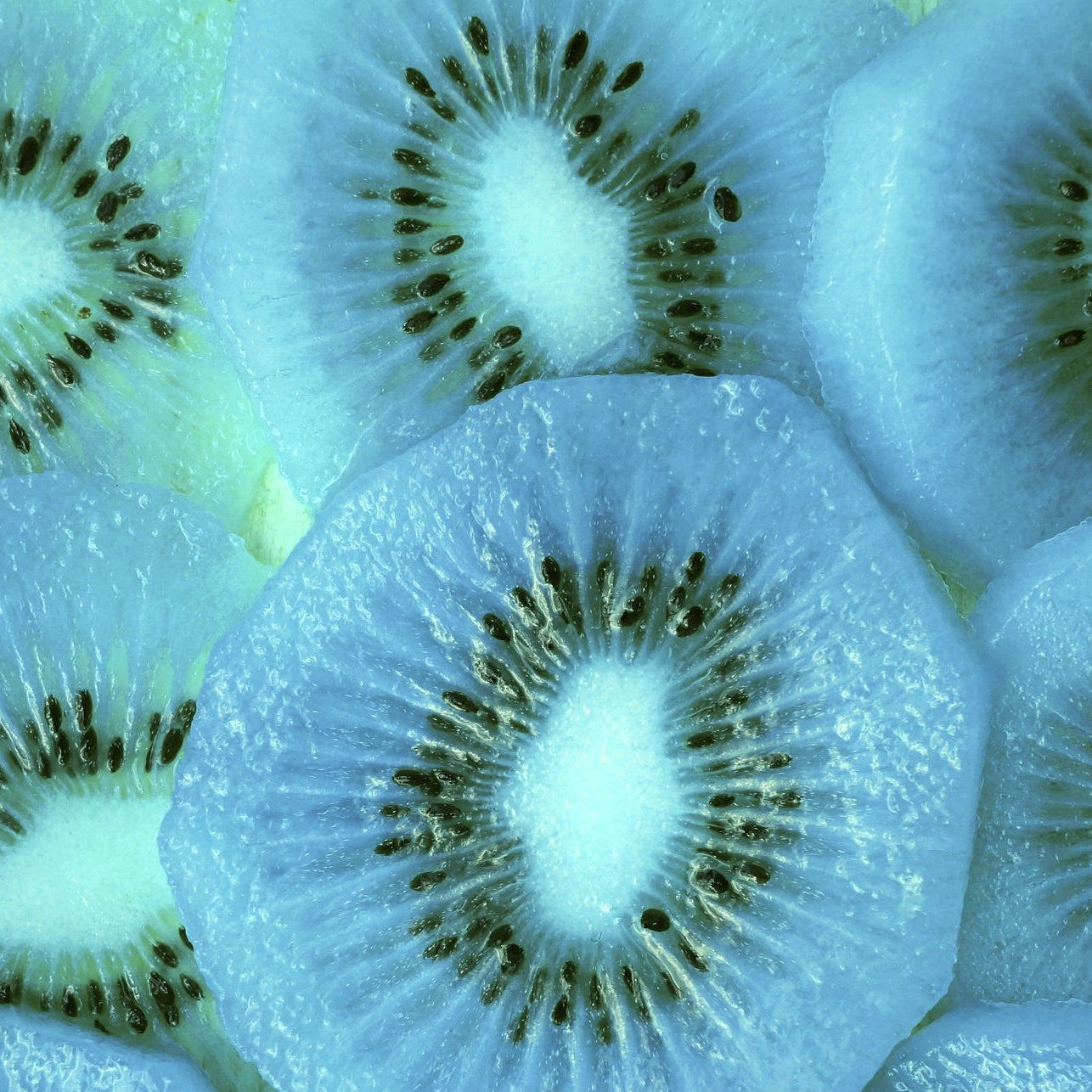sky blue kiwi fruit seeds