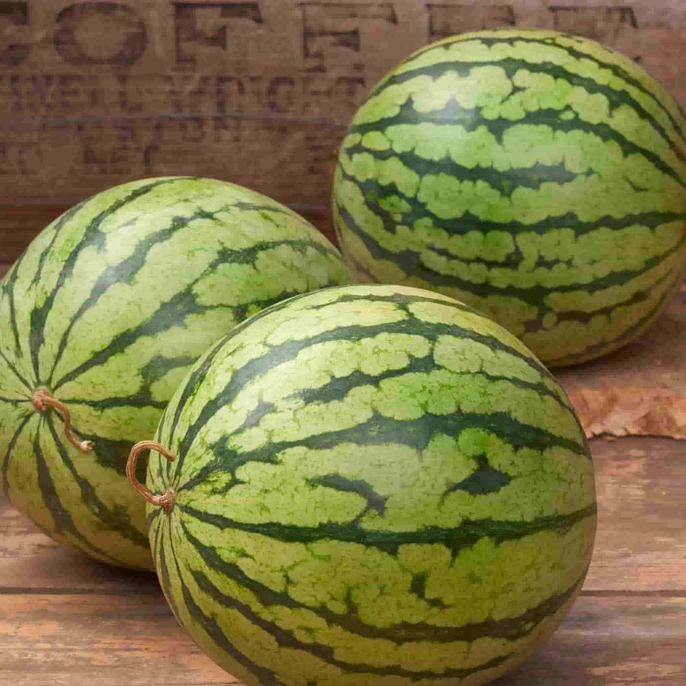 sugar pot watermelon citrullus lanatus fruit seeds