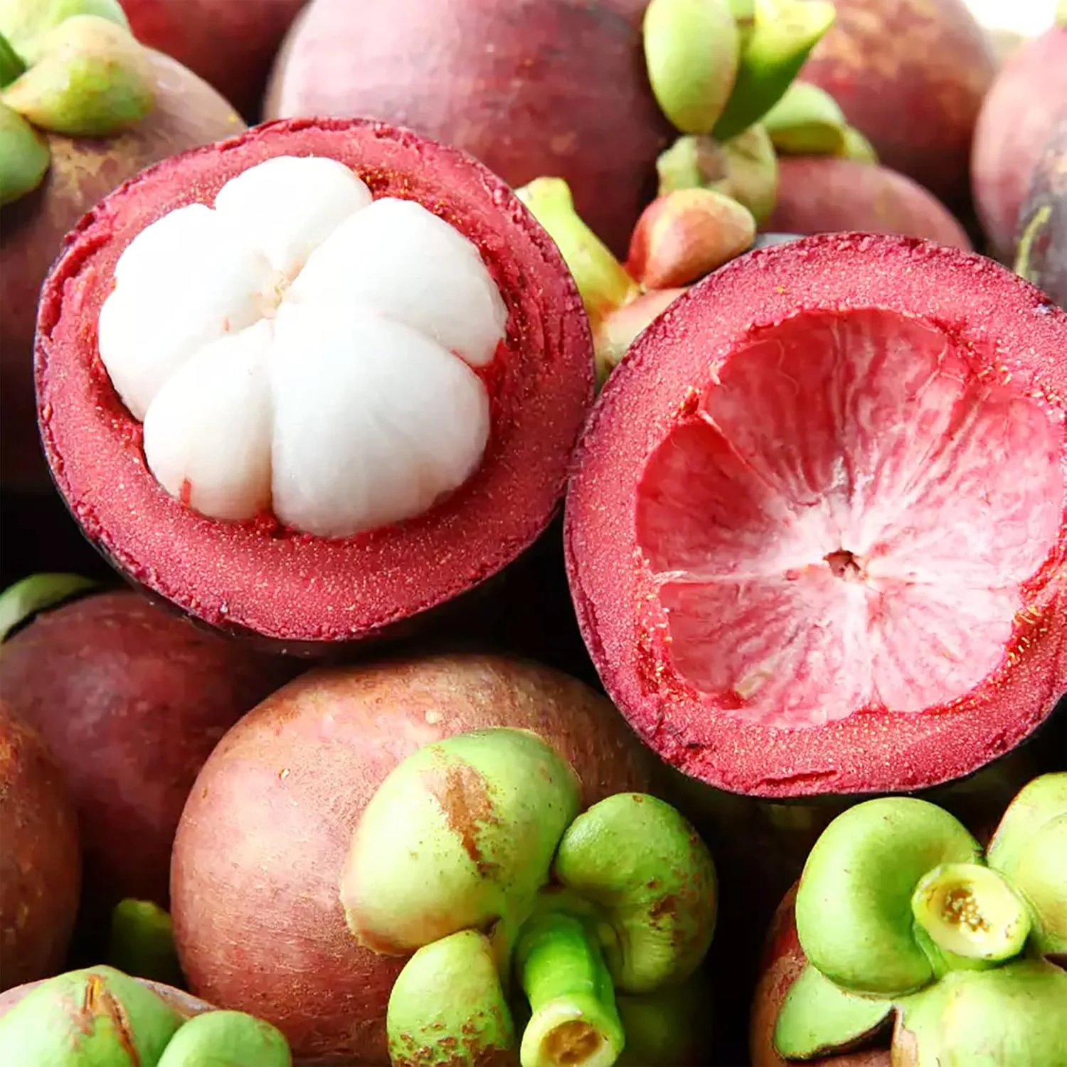 Mangosteen Fruit Growing Sweet Exotic Tropical Fruits Gmo Free Fruit Seeds