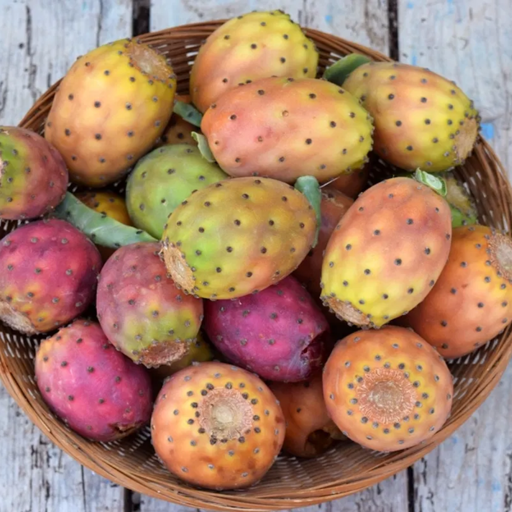 Tuna Verde Fruit Tropical Gardens Unique Green For Home Fruit Seeds