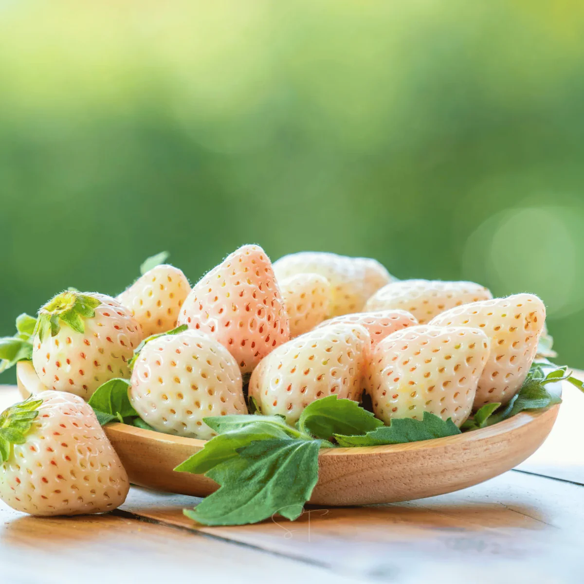 White Strawberry For Cultivating Rare Berry Fruits For Landscape Gardening Reliable Fruit Seeds
