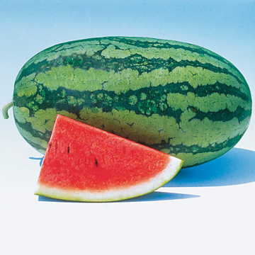 sweet beauty hybrid watermelon mini red watermelons high organic Fruit Seeds organic garden seeds