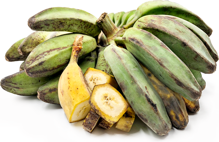 Saba Banana Fruit Cultivating Vibrant And Tropical Trees For Sustainable Fruit Seeds