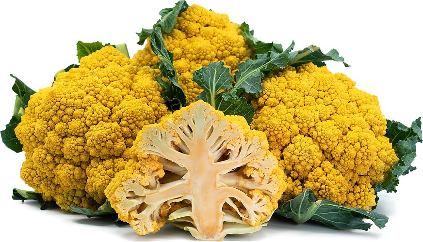 Broccoli vegetable seeds Yellow vegetable seeds for Home Gardening, Fresh Seasonal Vegetable for kitchen garden planting