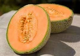 melon fruit grow juicy and flavorful melons for your garden Fruit seeds