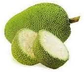 green jackfruit for planting sweet and nutritious tropical gardens gmo free Fruit seeds