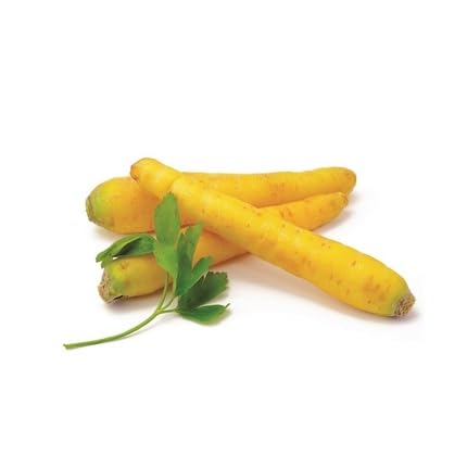 Yellow Carrot vegetable seeds for Home Gardening, Nutritious Backyard Harvest Collection for kitchen garden planting