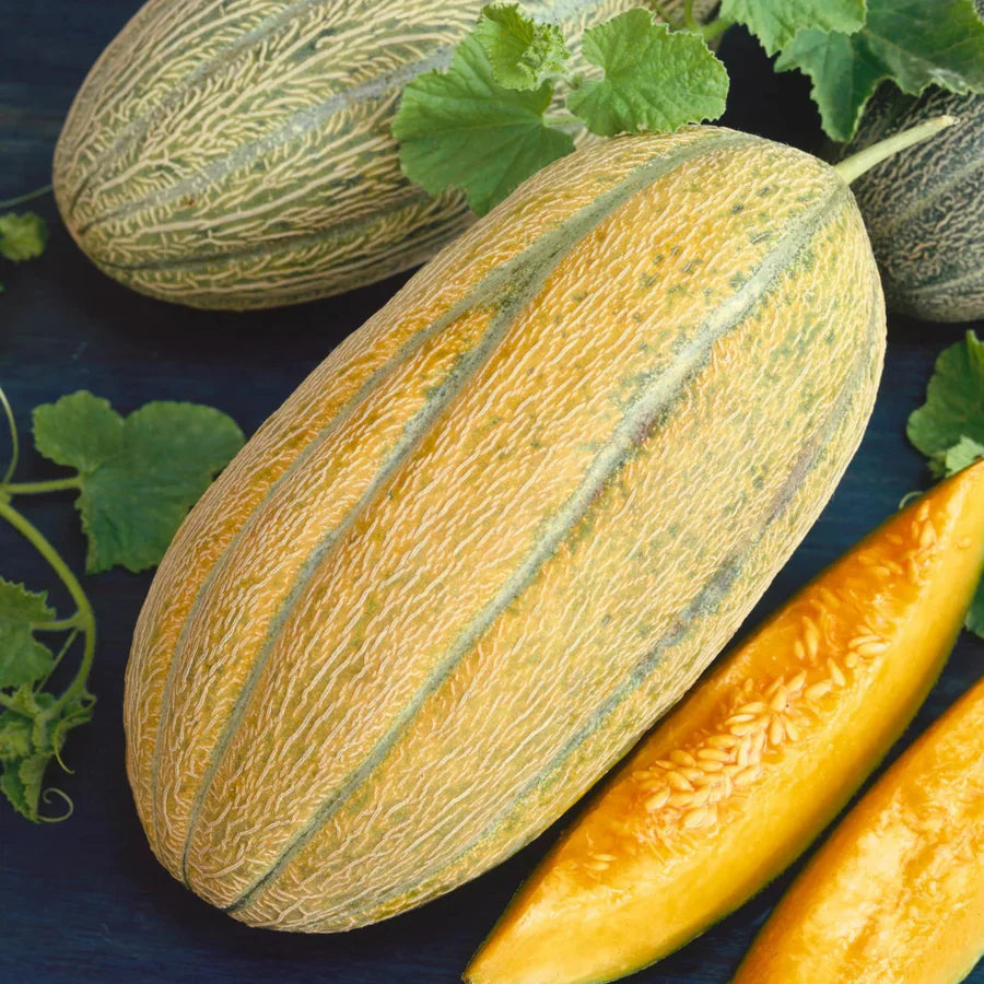 Banana Cantaloupe Plant And Sweet Fruit Fruit Seeds