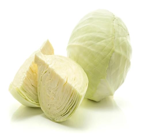 White Cabbage vegetable seeds for Home Gardening, Fast Growing Home Garden Variety for kitchen garden planting