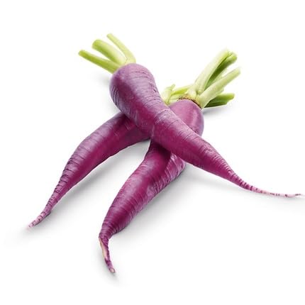 Purple Carrot vegetable seeds for Home Gardening, Fast Growing Home Garden Variety for kitchen garden planting