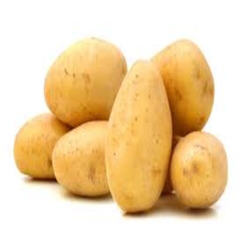 Potato Brown Vegetable Seeds Heirloom, Non-GMO for Home Garden Planting