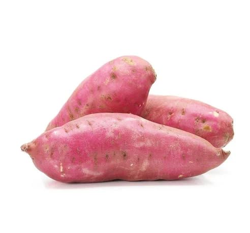 Sweet Potato Vegetables vegetable seeds for Home Gardening, Fast Growing Home Garden for kitchen garden planting