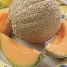 Melon Cantaloupe Fruit Light Orange Variety For Early Harvests For Backyard Fruit Seeds