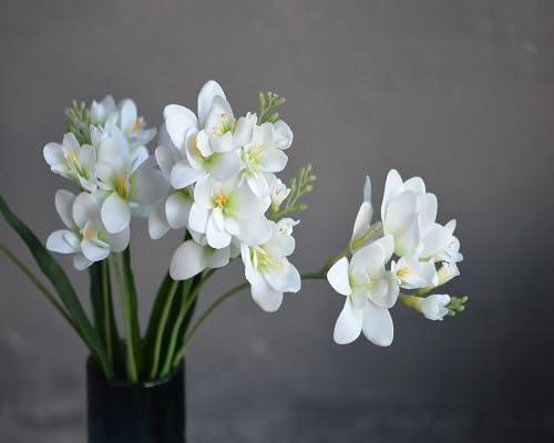 Freesia Flower Seeds