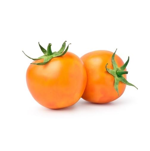 Orange Tomato vegetable seeds vegetable seeds for Home Gardening, Premium Kitchen Garden Collection for kitchen garden planting