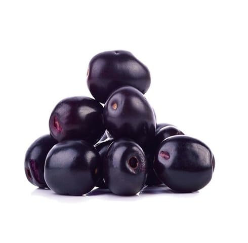 Black Jamun fruit seeds for organic garden planting