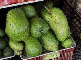 Giant Soursop Fruit High Yielding Tropical For Backyard Fruit Seeds