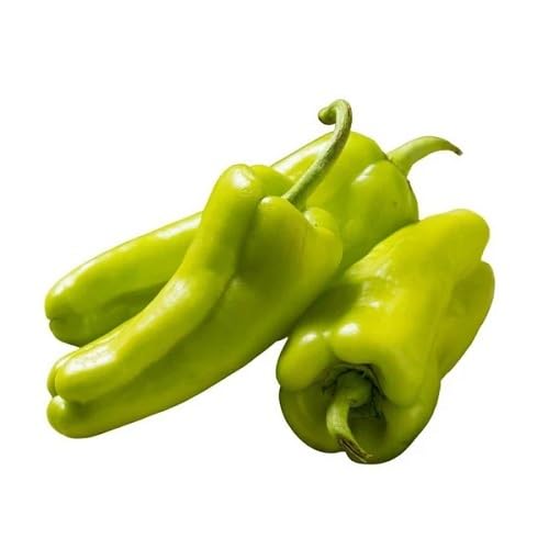 Green Shishito Pepper Vegetables Seeds. vegetable seeds - Heirloom, Organic, Non Gmo Garden Seeds for kitchen garden planting