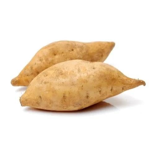 White Sweet Potato vegetable seeds for Home Gardening, Easy Grow Culinary Garden for kitchen garden planting