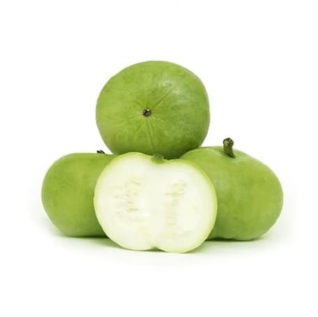 Green Tinda vegetable seeds - Heirloom, Organic, Non Gmo Garden Seeds for kitchen garden planting