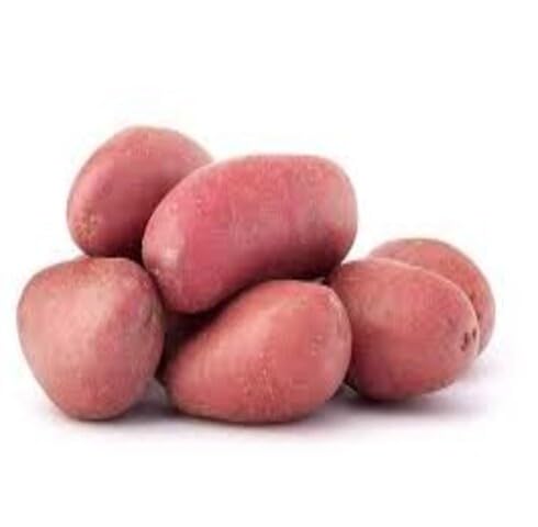 Pink Potato vegetable seeds for Home Gardening, Fast Growing Home Garden Variety Premium for kitchen garden planting
