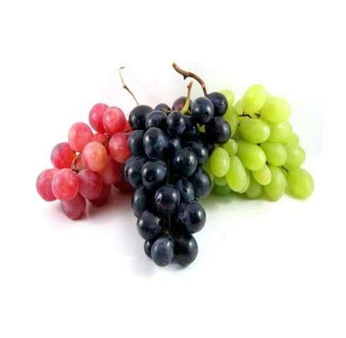 mixed grapes fruit Fruit Seeds for Home Planting Premium Germination Healthy Harvest Growing