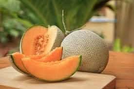 Melon Cantaloupe Fruit Orange Variety For Unique Flavors For Landscape Gardening Fruit Seeds
