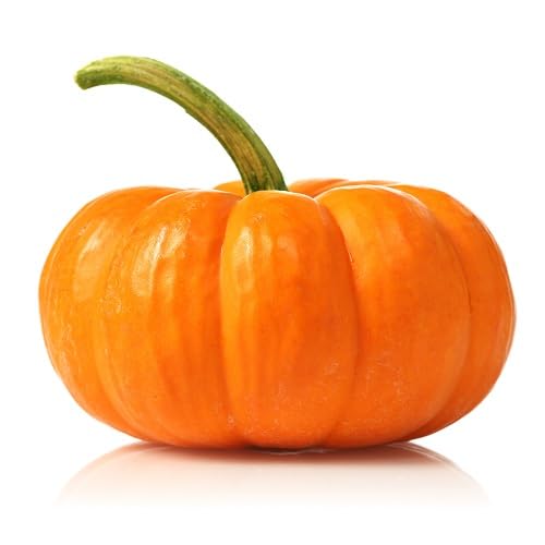 Orange Pumpkin vegetable seeds - Heirloom, Organic, Non Gmo Garden Seeds for kitchen garden planting