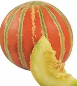 Red Green Hami Melon Fruit Seeds