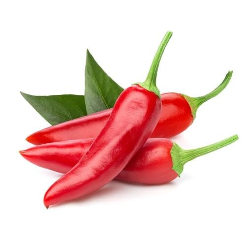 Red Chili vegetable seeds for Home Gardening, Organic Raised Bed Garden Favorite Premium for kitchen garden planting