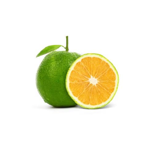 Green Orange fruit seeds for organic garden planting