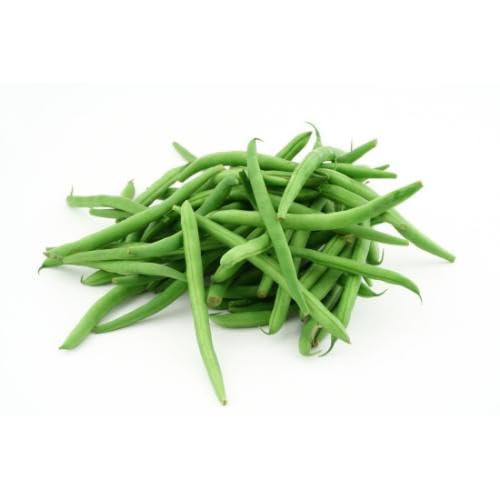Green Bean vegetable seeds for Home Gardening, Organic Raised Bed Garden Favorite Premium for kitchen garden planting