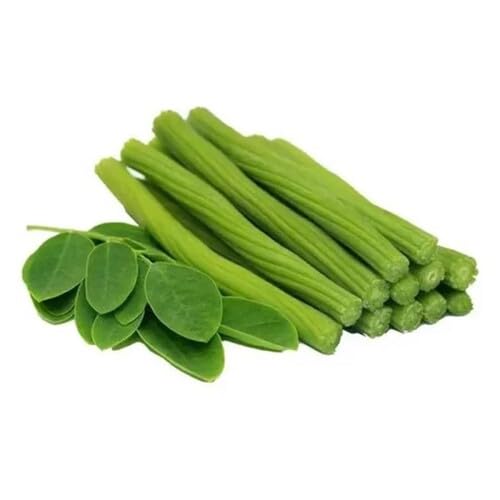 Drumstick Vegetable Seeds Heirloom, Non-GMO for Home Garden Planting