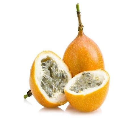 orange passiflora fruit Fruit Seeds for Home Planting Premium Germination Healthy Harvest Growing