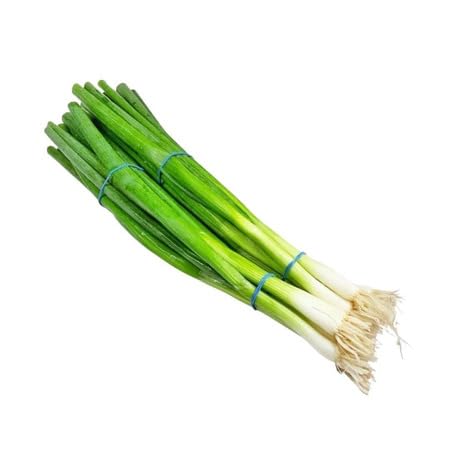 Scallions vegetable seeds - Heirloom, Organic, Non Gmo Garden Seeds for kitchen garden planting