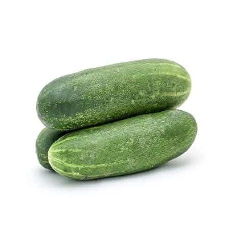 Green Cucumber Fruit Seeds vegetable seeds for Home Gardening, Fresh Seasonal Vegetable Planting for kitchen garden planting