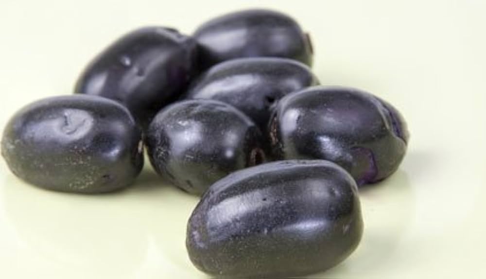 organic plum fruit prunus domestica in vegetable