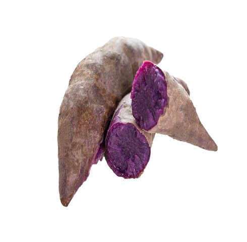 Purple Yacon vegetable seeds for Home Gardening, Fast Growing Home Garden Variety Premium for kitchen garden planting