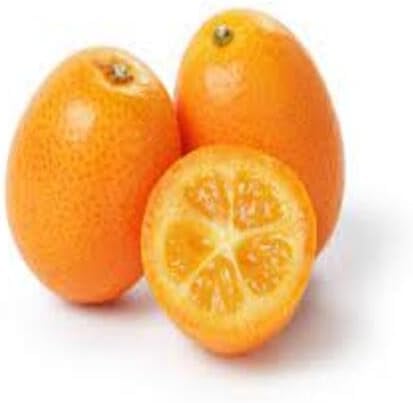 orange kumquat fruit Fruit Seeds organic garden seeds