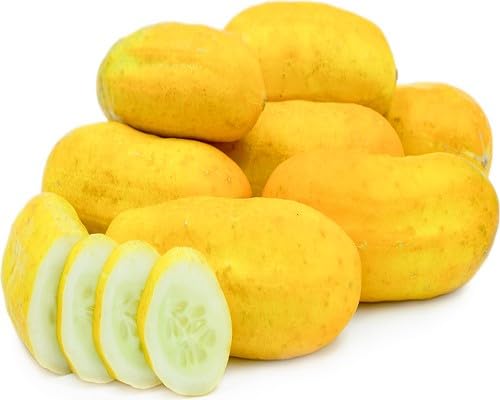 Cucumber vegetable seeds Yellow vegetable seeds for Home Gardening, Fast Growing Backyard Harvest for kitchen garden planting