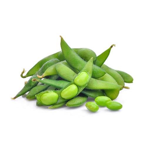 Green Edamame vegetable seeds for Home Gardening, Healthy Seasonal Vegetable Planting for kitchen garden planting